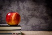 Teacher's apple for Utah Divorce Education Course